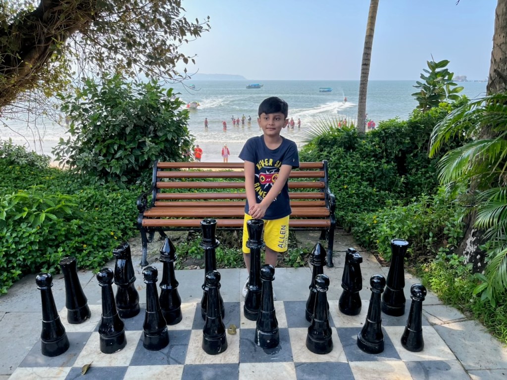 My favourite game –&nbsp;chess